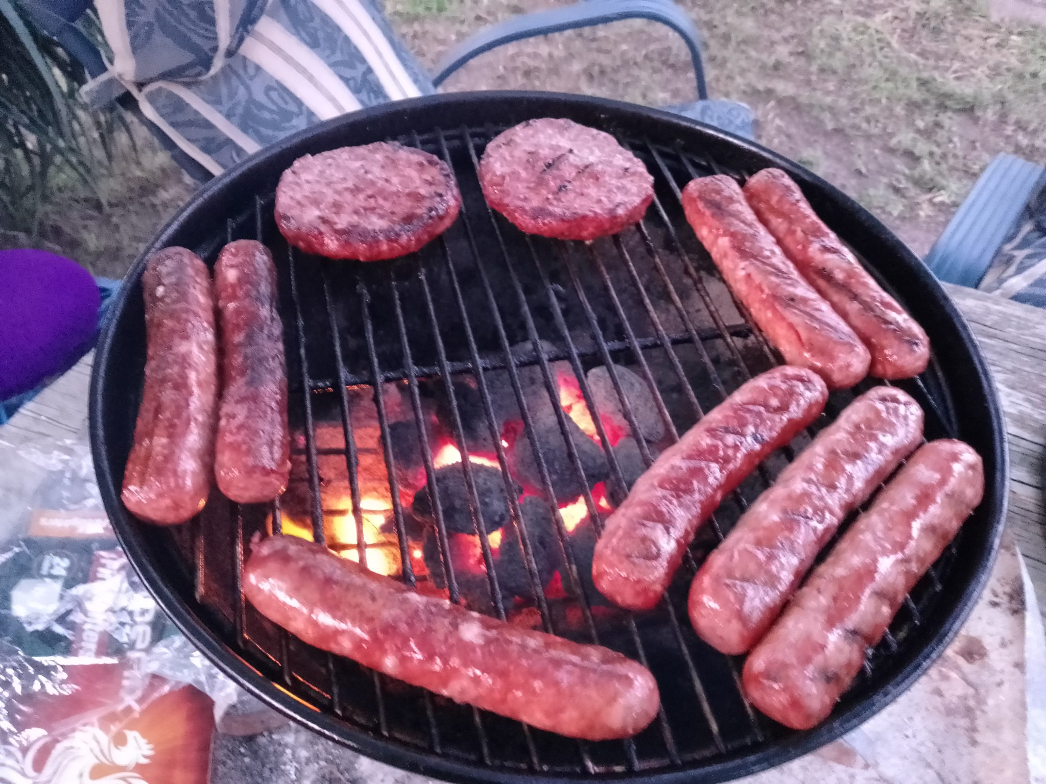 carnivore diet meal plan for beginners